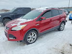 Ford Escape 2013