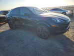 Porsche Cayenne 2023