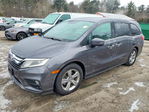 Honda Odyssey 2019