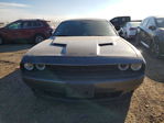 Dodge Challenger 2019