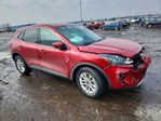 Ford Escape 2020
