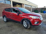 Ford Escape 2019