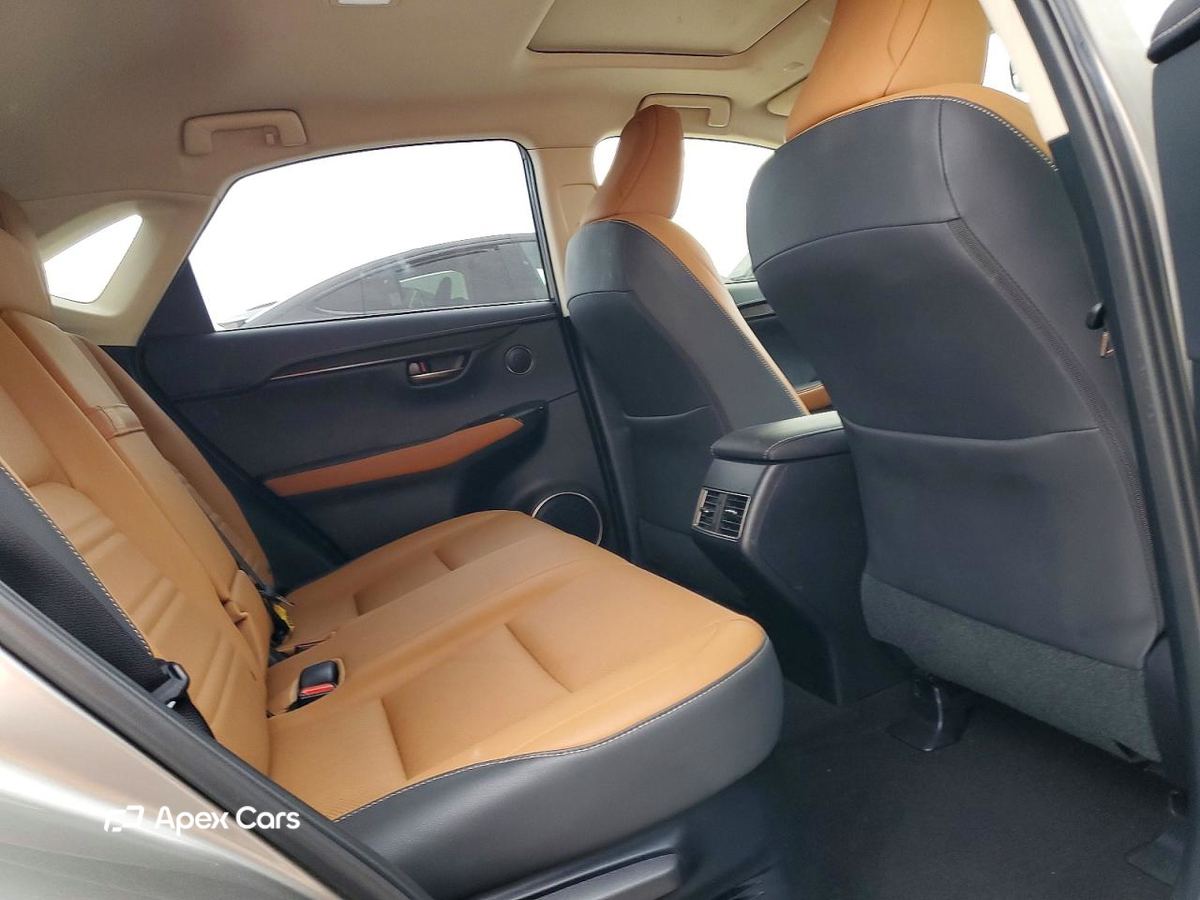 Lexus NX 2020