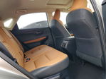 Lexus NX 2020