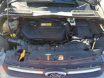 Ford Escape 2013
