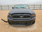 Ford Mustang 2013