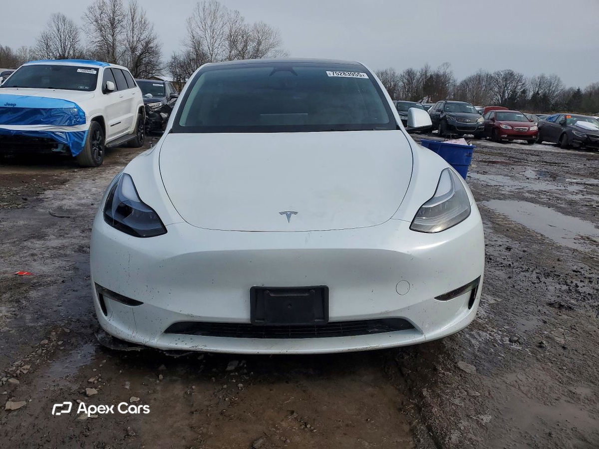 Tesla Model Y 2025