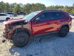 Toyota RAV 4 2021
