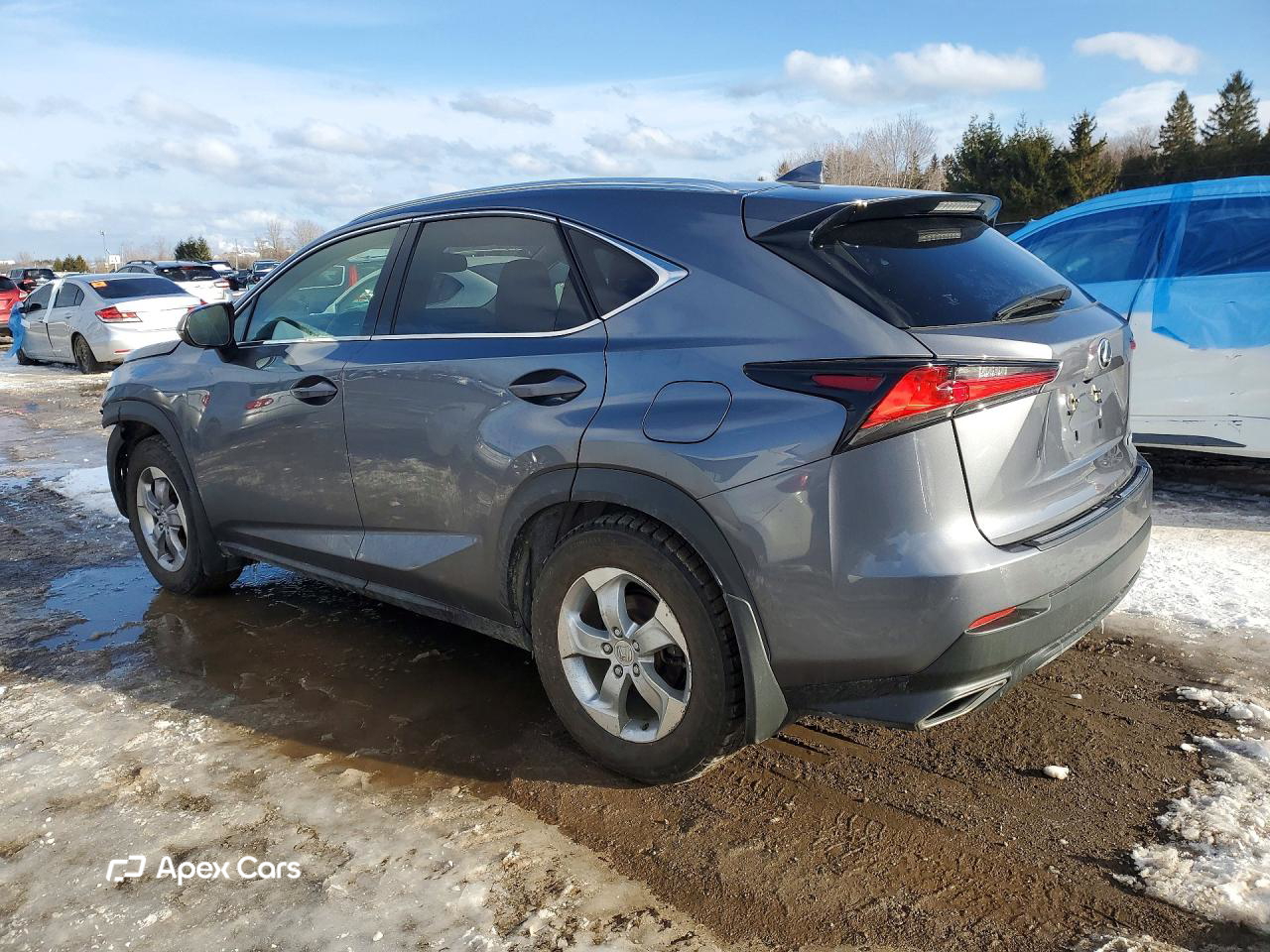 Lexus NX 2021