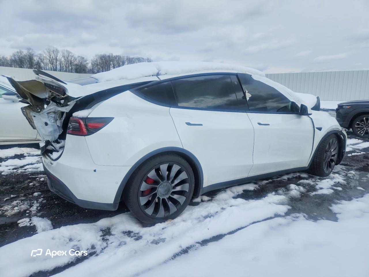 Tesla Model Y 2021