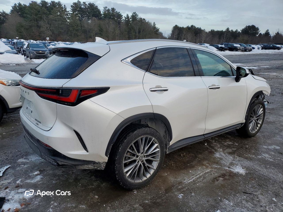 Lexus NX 2023