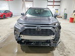 Toyota RAV 4 2021