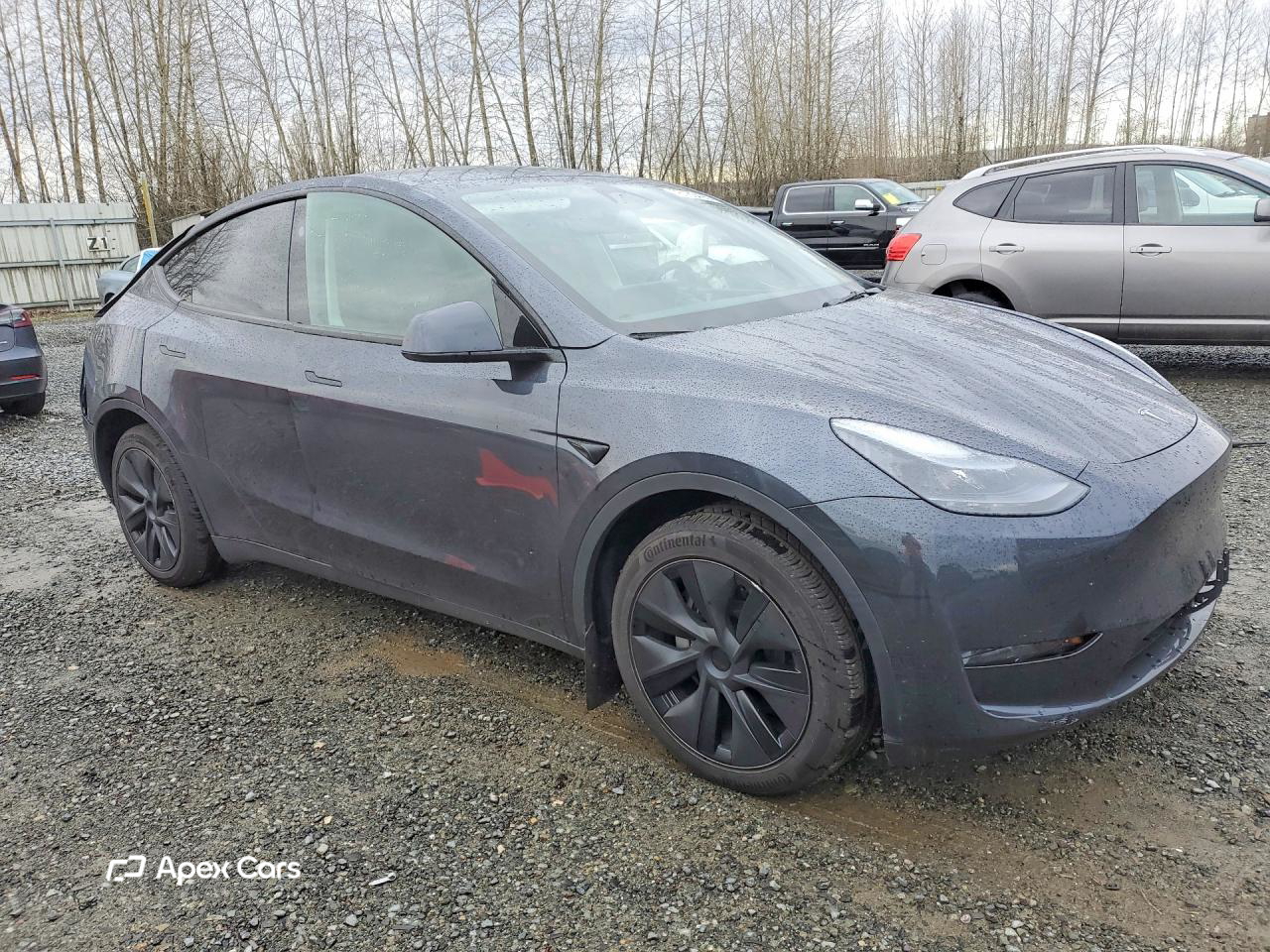 Tesla Model Y 2025