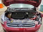 Ford Escape 2014