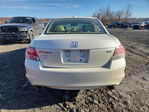 Honda Accord 2010