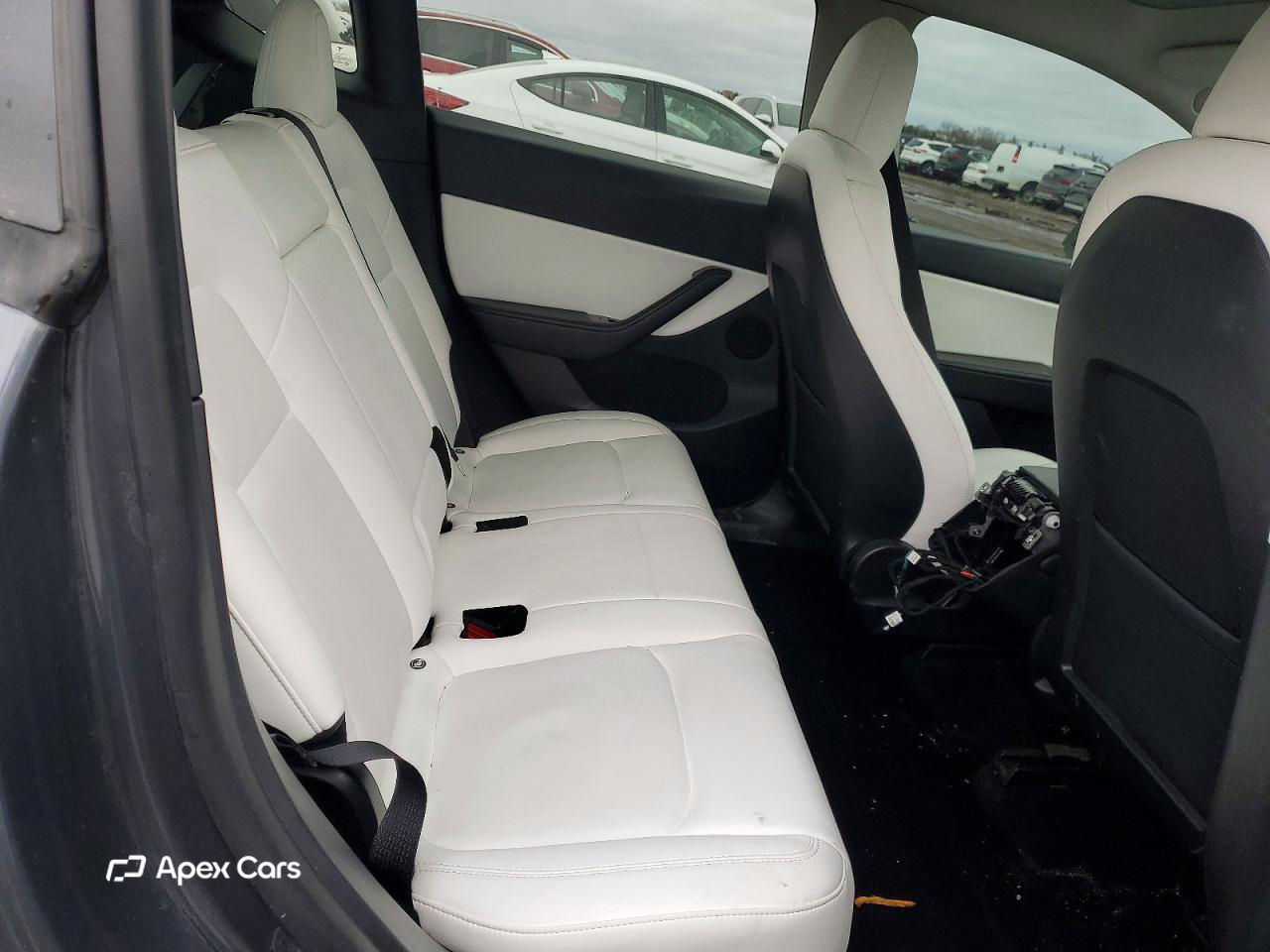 Tesla Model Y 2020