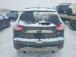 Ford Escape 2016
