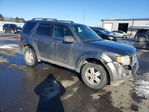 Ford Escape 2010