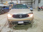 Buick Rainer 2006