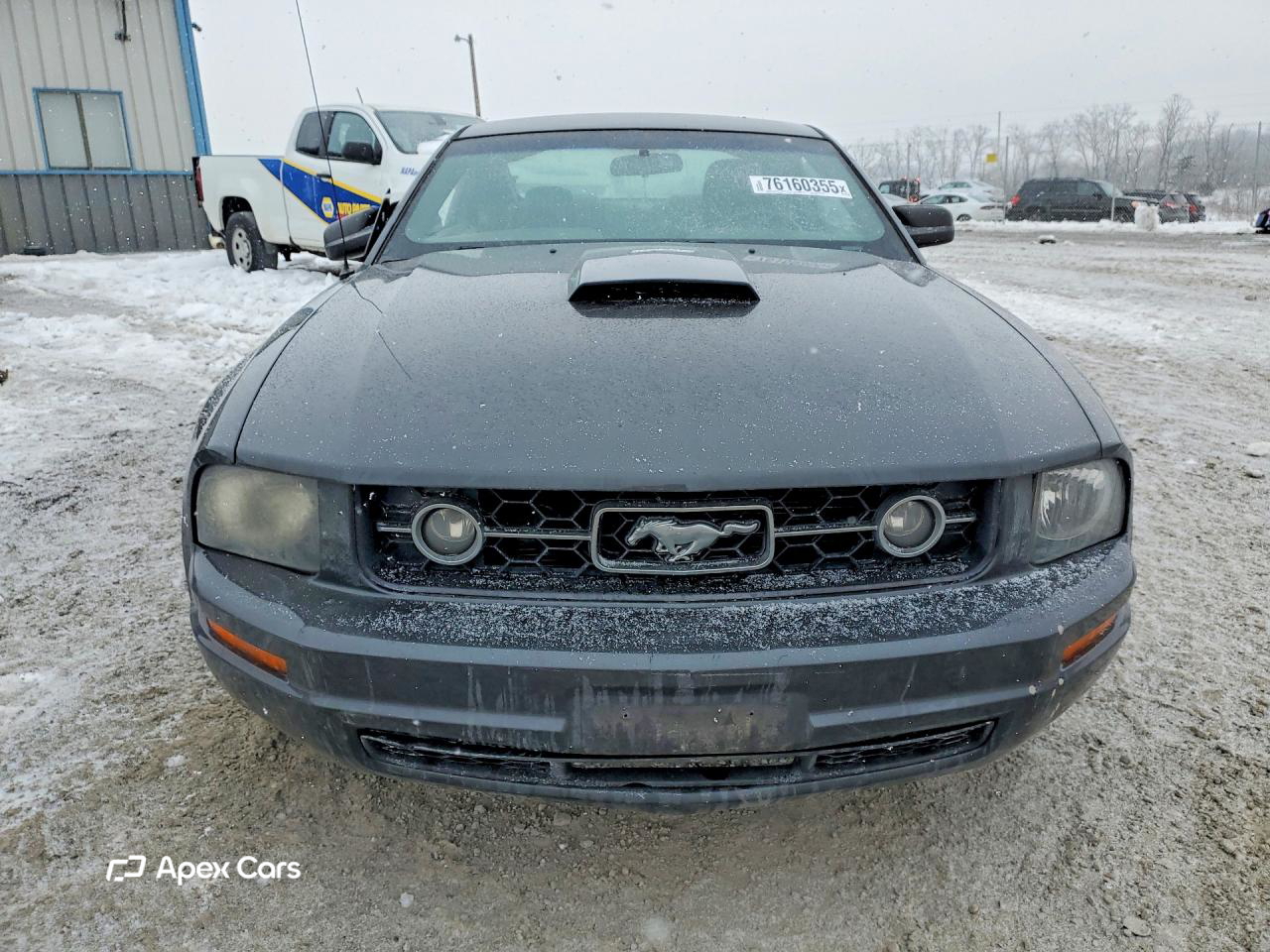 Ford Mustang 2007