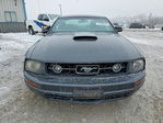 Ford Mustang 2007