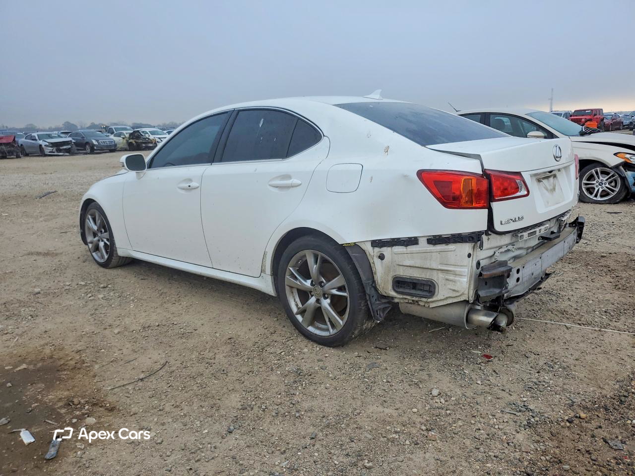 Lexus IS 2009