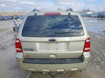 Ford Escape 2010