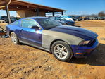 Ford Mustang 2012