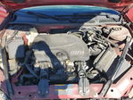 Impala 2010