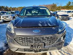 Ford Escape 2020