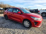 Kia Rio 2022