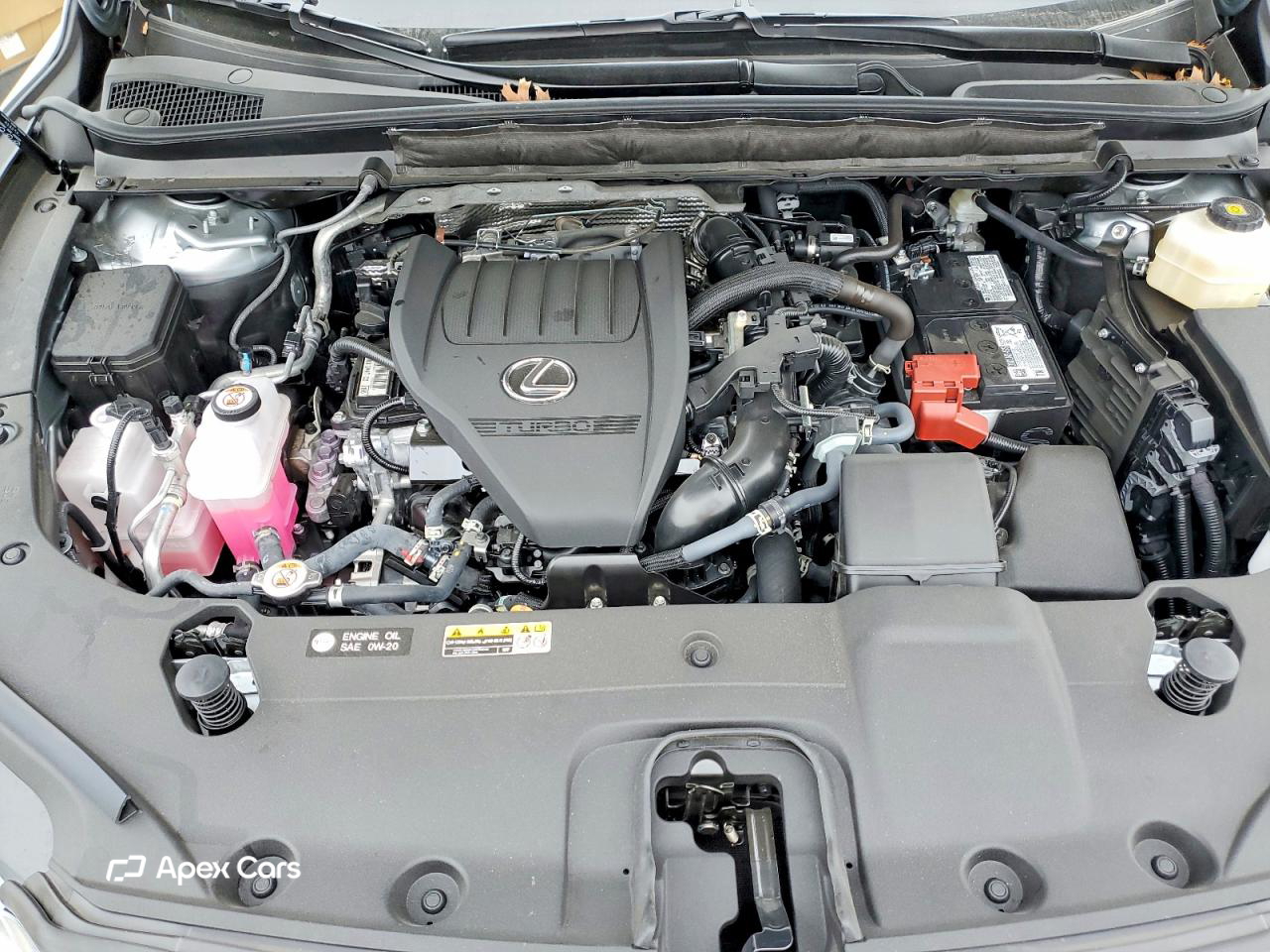 Lexus RX 2025