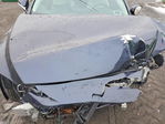 Lexus RX 2024