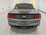Ford Mustang 2021