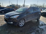 Ford Escape 2016