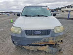 Ford Escape 2006