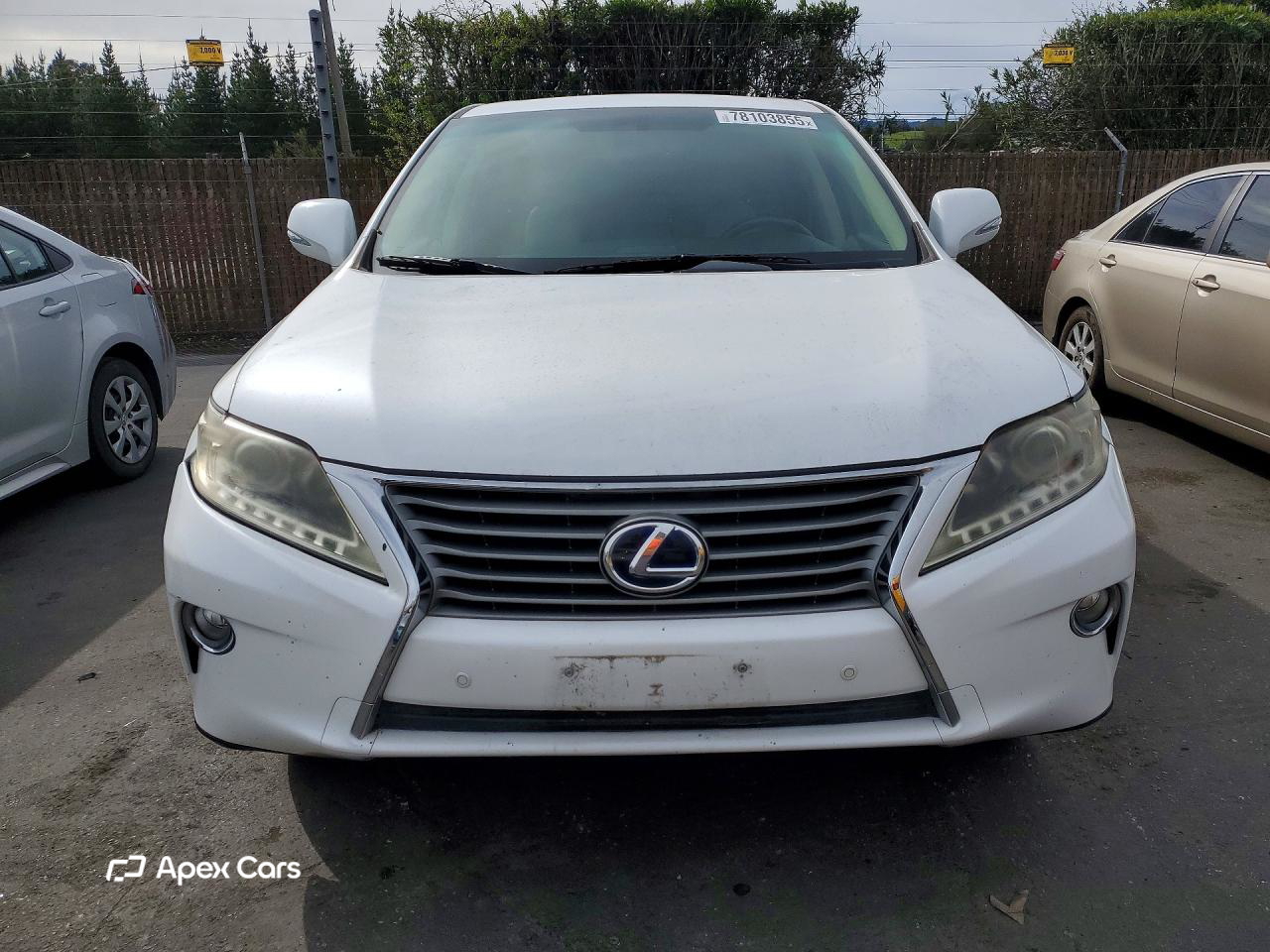 Lexus RX 2013