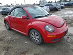 Volkswagen Beetle 2009