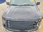 Ford F-150 2013