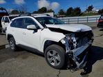 Toyota RAV 4 2024