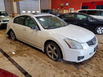 Nissan Maxima 2008