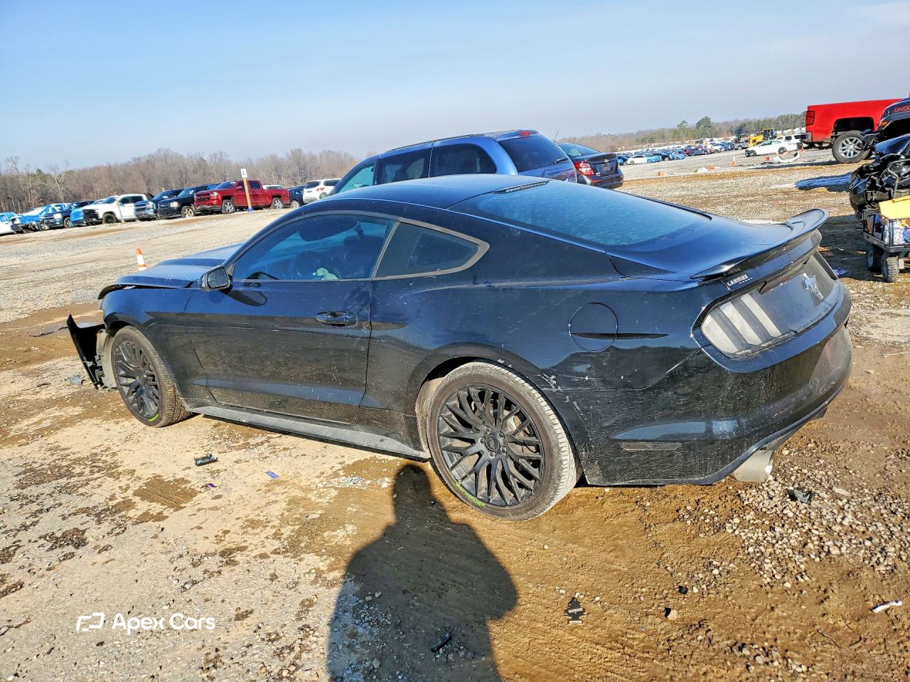 Ford Mustang 2015