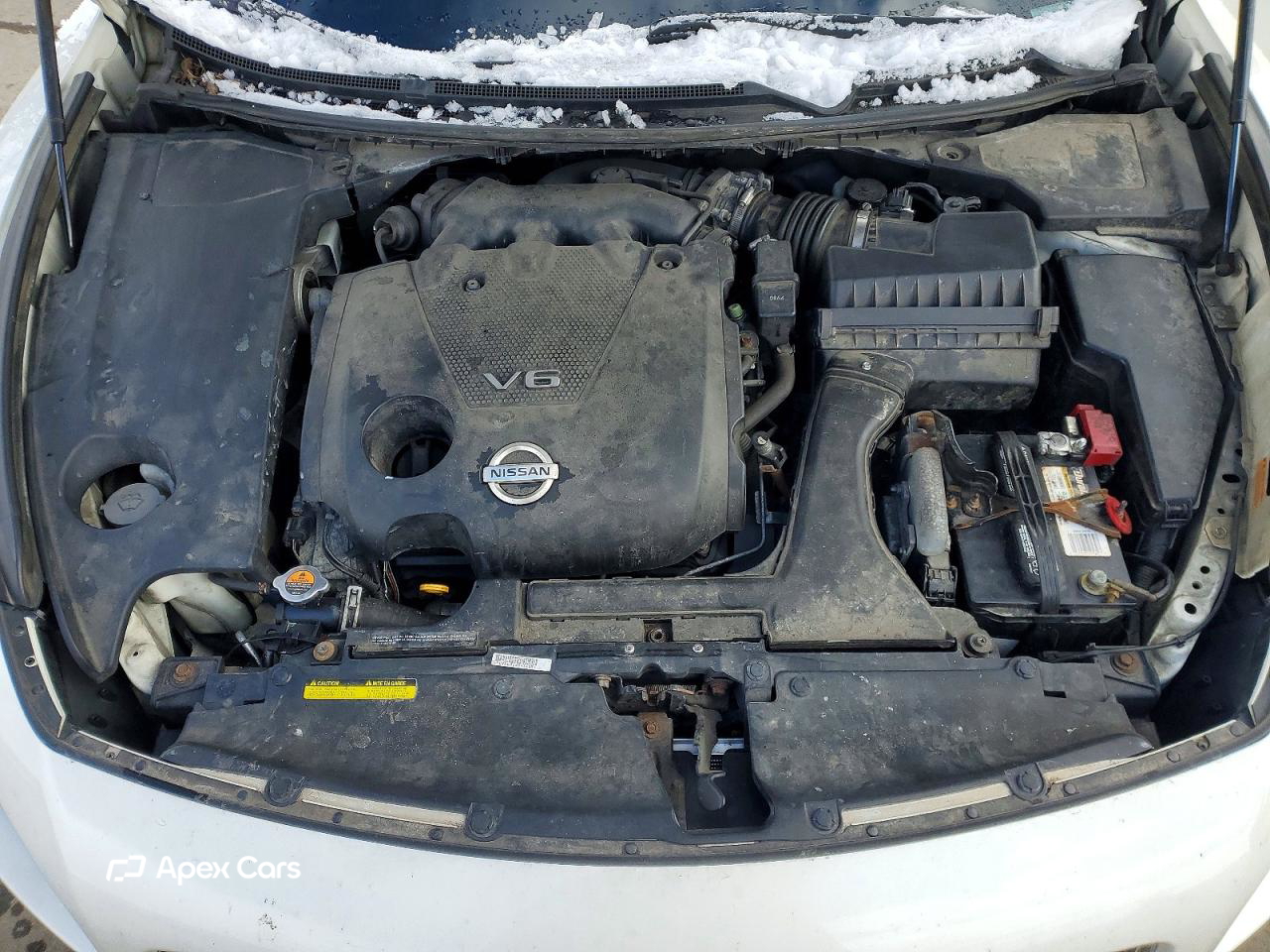 Nissan Maxima 2010