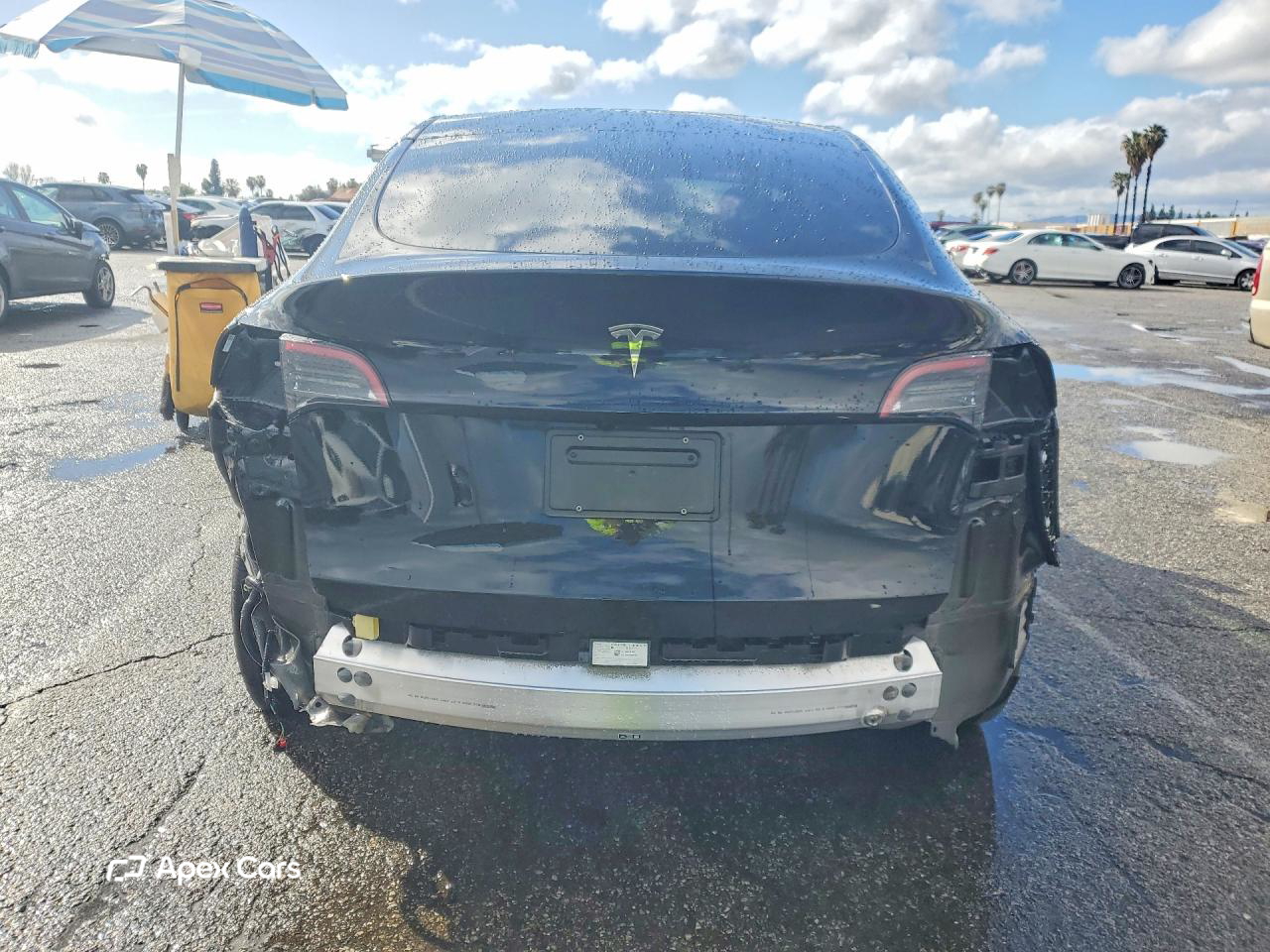 Tesla Model Y 2025