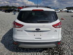 Ford Escape 2016