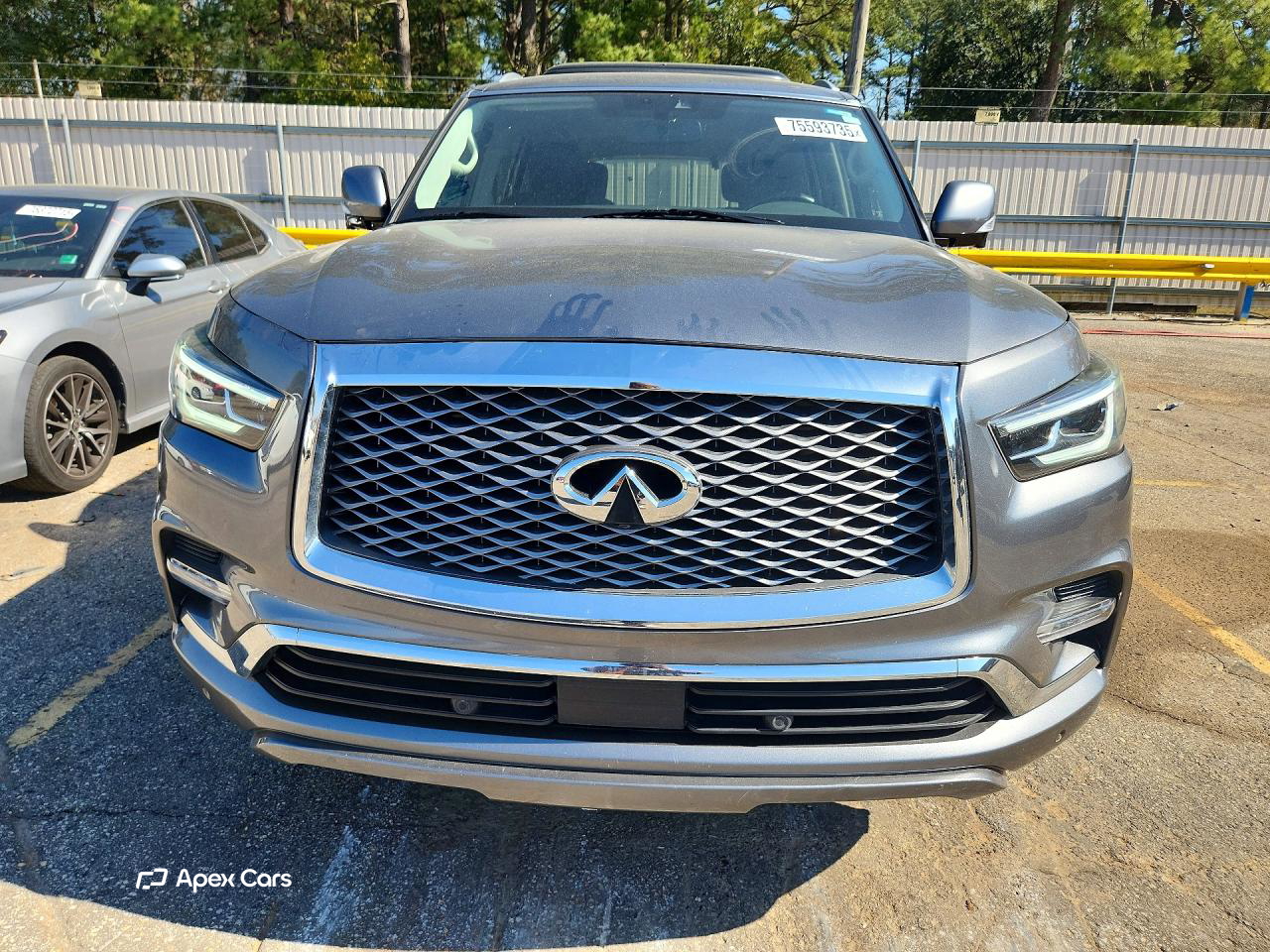 Infiniti QX80 2019