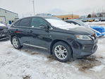 Lexus RX 2013
