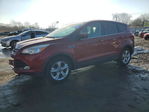 Ford Escape 2016