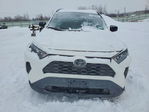 Toyota RAV 4 2020