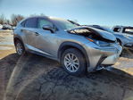 Lexus NX 2021